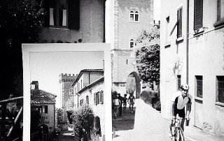 Bolgheri